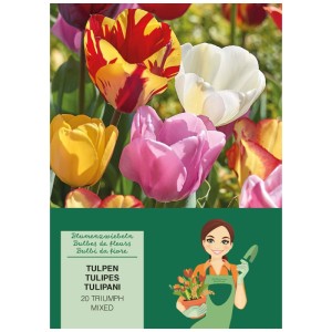 Mélange coloré de tulipes Triumph de GROW by OBI, 20 pièces, env. 45 cm de haut.