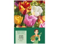GROW by OBI Tulpen Triumph Mischung 45 cm / 20 Stk.