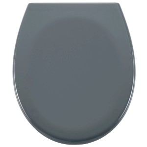 Sedile WC Diaqua Barbana grigio con chiusura rallentata, vista dall'alto.