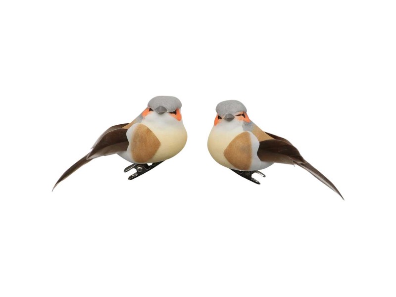 Assortiment de deux oiseaux décoratifs sur clips