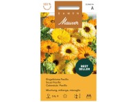 Ringelblume Pacific, gefüllte Misch. Ringelblume Pacific, gefüllte Misch.