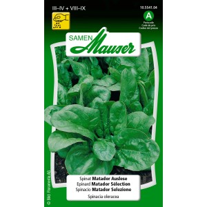 Graines d'épinards Matador Auslese : Sachet avec plante d'épinard, idéal pour la culture au jardin.