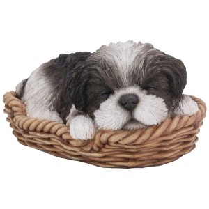 Schlafender, schwarz-weißer Shih-Tzu Welpe im Korb als Gartendeko.