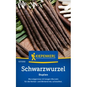 Kiepenkerl Salsifis Noir Duplex : Longues racines sombres, fraîchement récoltées pour l'hiver.