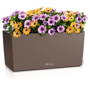 Pot de fleurs Lechuza Balconera Color 40 couleur muscade avec des fleurs colorées, idéal pour les balcons.