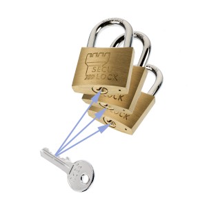 Lot de cadenas Burg Wächter Trio 405 40 SB avec trois cadenas en laiton et une clé.