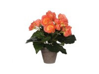 Mica Decorations Kunstpflanze Begonie Lachs Topf Ø 20 cm / Höhe 25 cm