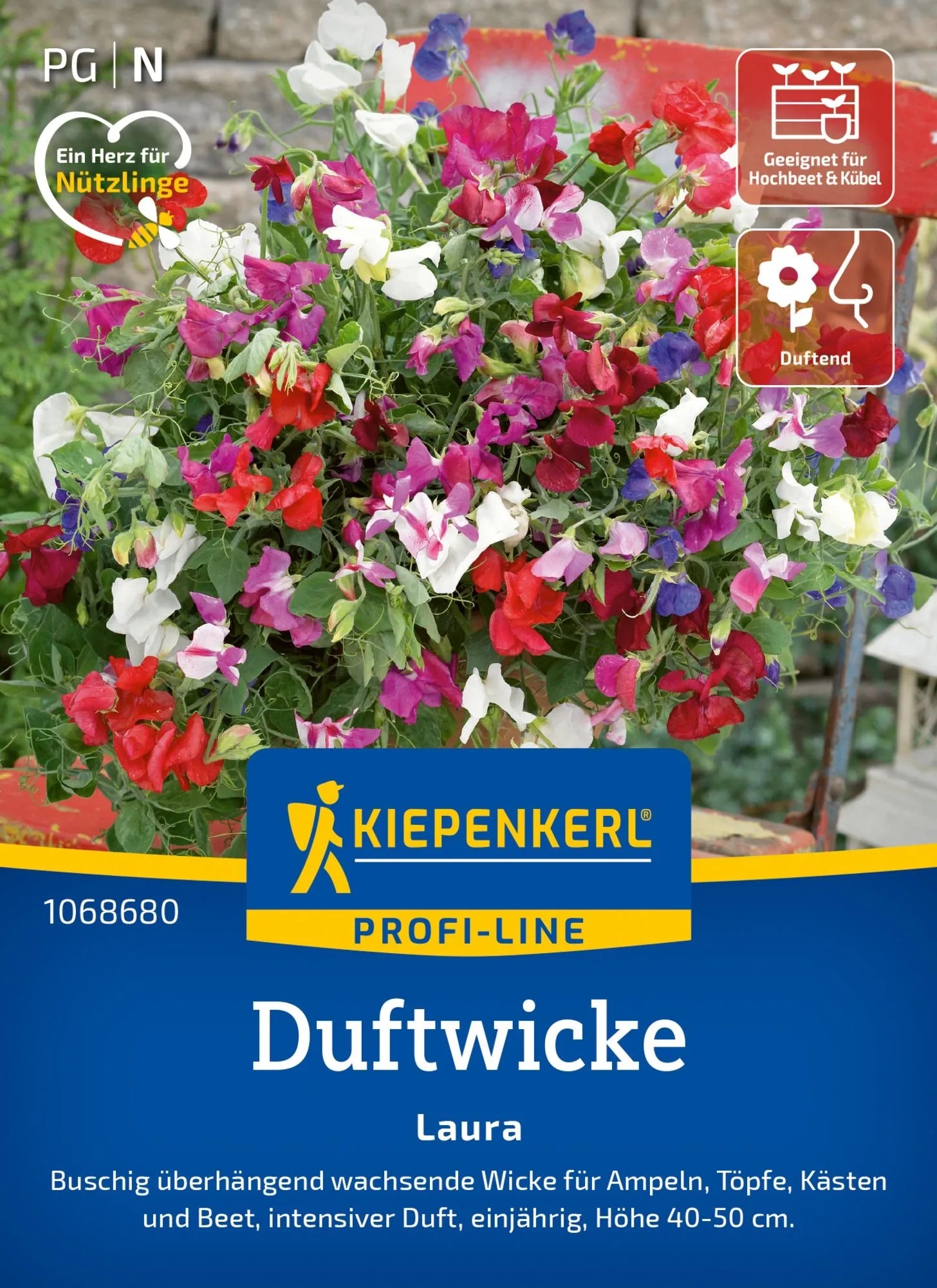 Kiepenkerl Saatgut Duftwicke Laura 20 Pflanzen