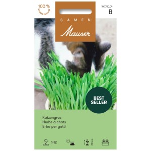 Paquet de graines d'herbe à chat, chat mangeant de l'herbe verte. Aide à la digestion.