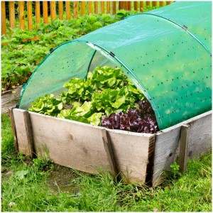 Kit d'arceaux de tunnel Windhager Flexi-Tunnel au-dessus d'un potager avec de la laitue et un tunnel en plastique dans le jardin.