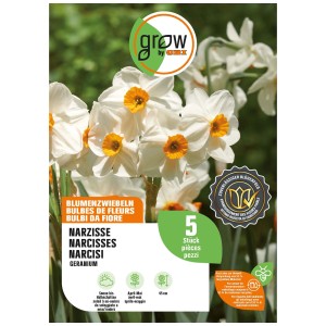 GROW by OBI Narzisse Geranium, weiss-orange, 5 Stück. Blumenzwiebeln für den Garten.