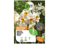 GROW by OBI Narzisse Geranium Weiss-Orange 5 Stk.