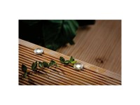 Paulmann LED-Einbauleuchte Plug & Shine Set MicroPen II 3'000 K / 5 x 0,22 W