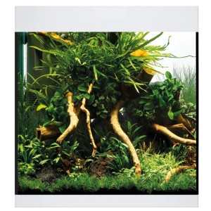 Oase Aquarium Styleline 85, 75 l, blanc, planté. Combinaison aquarium avec plantes et décoration.