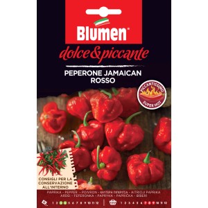 Sachet de graines de piment Jamaican Rosso, piment rouge fort pour sauces.