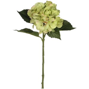 Ramo di ortensia verde (fiori artificiali) di Mica Decorations, altezza 51 cm.