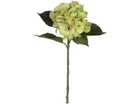 Mica Decorations Kunstfloristik Hortensien-Zweig Grün Höhe 51 cm