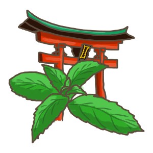 Illustration : menthe japonaise devant une arche rouge. Herbe culinaire pour le thé et plus encore.