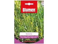 Samen Mauser Kräutersamen Rosmarin