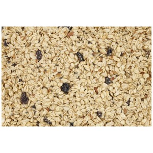 Primo piano: Miscela energetica per uccelli selvatici con avena, noci e bacche. Cibo per uccelli per l'inverno.