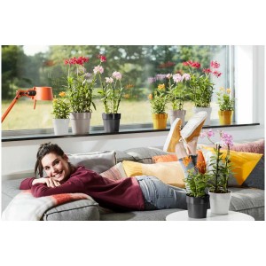Frau entspannt mit diversen Elho Übertöpfen b.for original (Schwarz, Gelb, Weiß, Grau) und Zimmerpflanzen auf dem Sofa.
