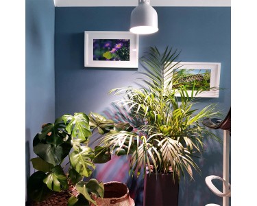 Portagioie Pieghevole A Libro - 2 Pezzi Per Orecchini E Gioielli Da Viaggio - Foto 12