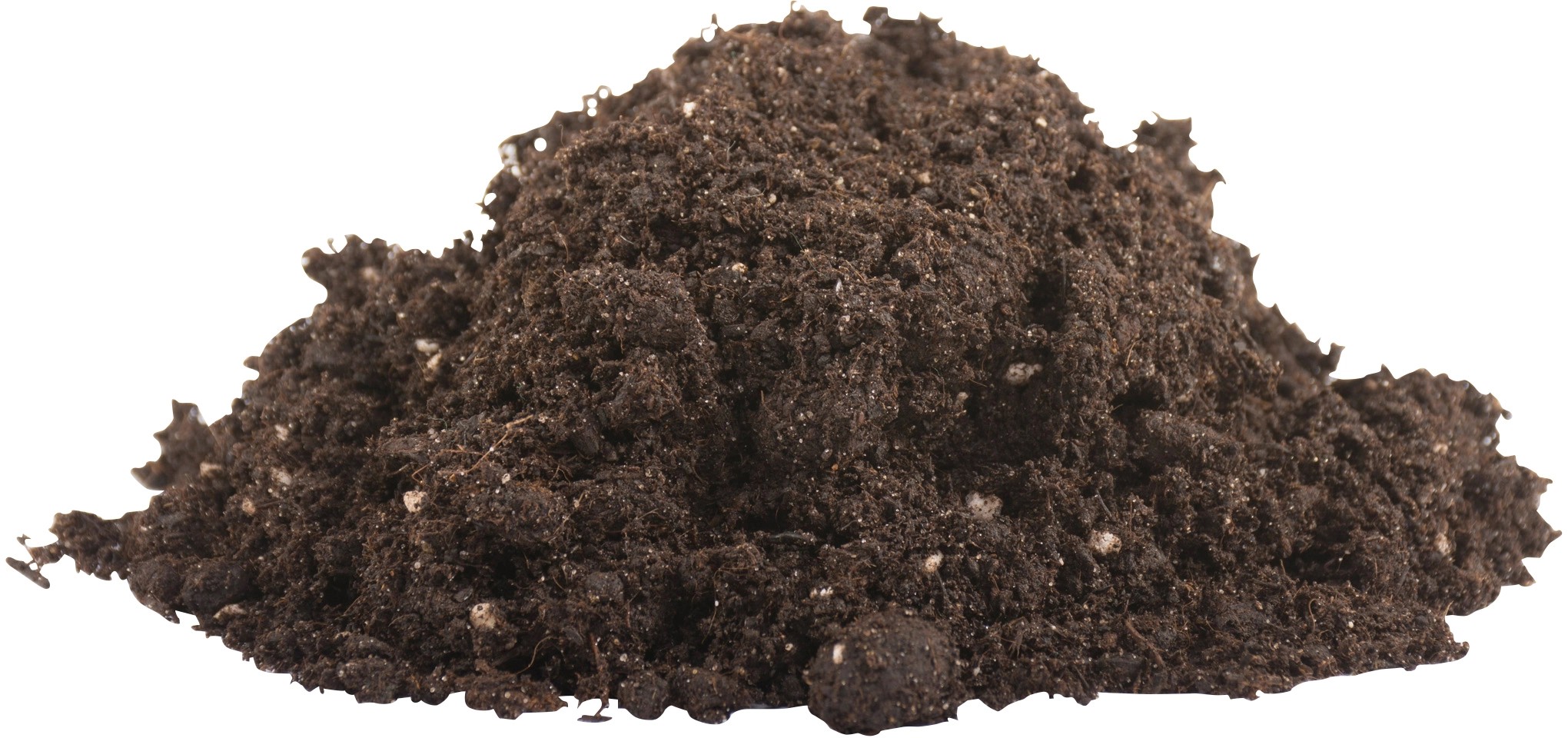Compo Sana QualitätsBlumenerde 20 l kaufen bei OBI
