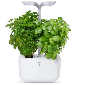 Véritable Exky Smart potager d'intérieur avec basilic et persil en blanc arctique.