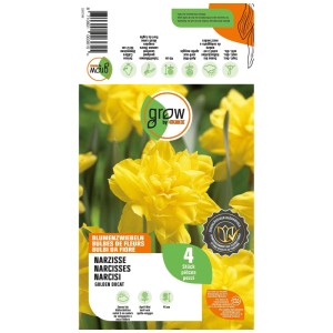 GROW by OBI Narzisse Golden Ducat Blumenzwiebeln, 4 Stk. Leuchtend gelbe, gefüllte Blüten auf der Packung.