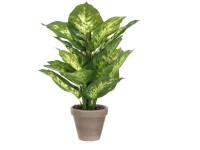 Mica Decorations Kunstpflanze Dieffenbachia Grün Ø 30 cm im Topf Stan