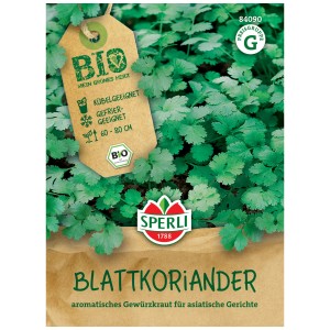 Sperli Semi di coriandolo a foglia bio: Erba aromatica per aiuole, vasi e contenitori.