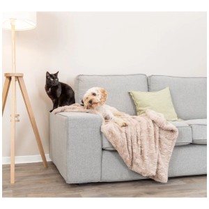 Couverture beige Trixie Cosy pour chien (70x50cm) sur canapé avec chien et chat. Couverture douillette pour animaux.