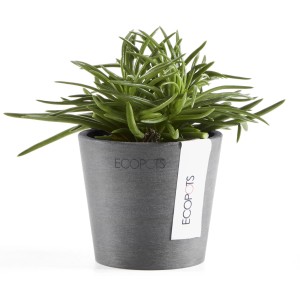 Pot de fleurs Ecopots Amsterdam Mini, gris, 8 cm, avec plante verte.