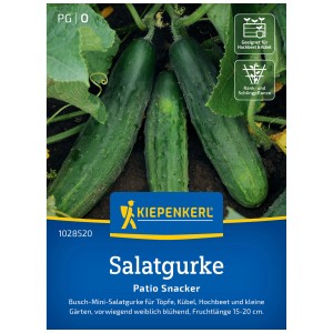 Graines de concombre Kiepenkerl Patio Snacker F1, 5 plants. Concombres vert foncé et croquants dans le jardin.