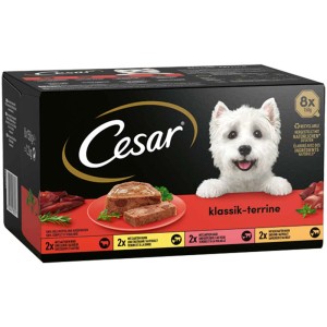 Cesar Hunde-Nassfutter Klassik Terrine, 8 x 150g Packung. Alleinfutter für kleine Hunde.