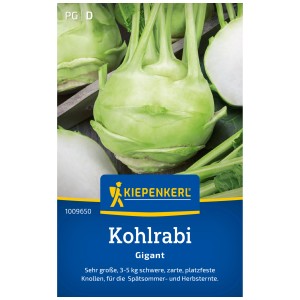 Graines de chou-rave Gigant Kiepenkerl : bulbe de chou-rave rond et clair avec des feuilles vertes.