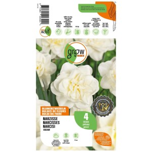 GROW by OBI Narciso Obdam Bianco, 4 bulbi. Confezione con fiori di narciso bianchi e doppi.