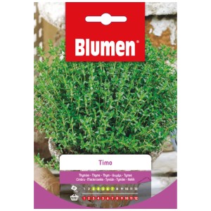 Semi Mauser erba aromatica timo, pianta aromatica perenne per luoghi soleggiati.