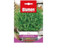 Samen Mauser Kräutersamen Thymian