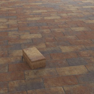 Pavé béton rectangulaire Mélange d'automne (20x10x6 cm) posé, une seule pierre mise en évidence.