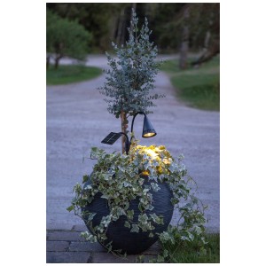 Star Trading LED Solar Spotlight, warmweisses Licht, 34cm hoch, in Pflanzkübel mit Pflanze.