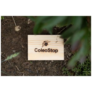 Nematodi ColeoStop contro oziorrinco su cartello di legno in giardino.