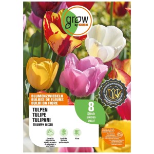GROW by OBI mix di tulipani Triumph, 8 bulbi colorati con fiori gialli, rosa, bianchi e rosso-gialli.