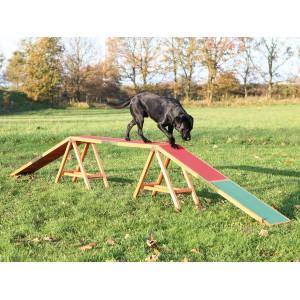 Passerella per cani Trixie per agility, 456 cm, con cane.