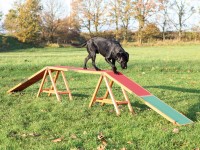 Trixie Hundesteg Dog Activity Agility 456 x 64 x 30 cm