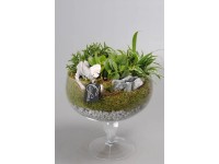 Bepflanzte Schale 1804 Topf Ø 27 cm