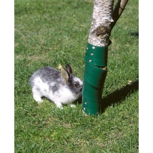 Protection d'arbre verte (2 pièces) protégeant l'arbre du lapin sur la pelouse.
