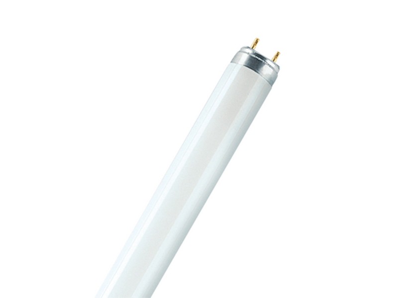 Osram Lampe fluorescente T8 G13 Fluora Lumière à plantes 30 W 1