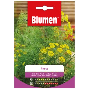 Sachet de graines d'aneth Mauser, herbe aromatique annuelle à fleurs jaunes.