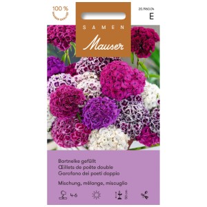 Sachet de graines Œillet de poète double mélange : Fleurs violettes, blanches et roses.